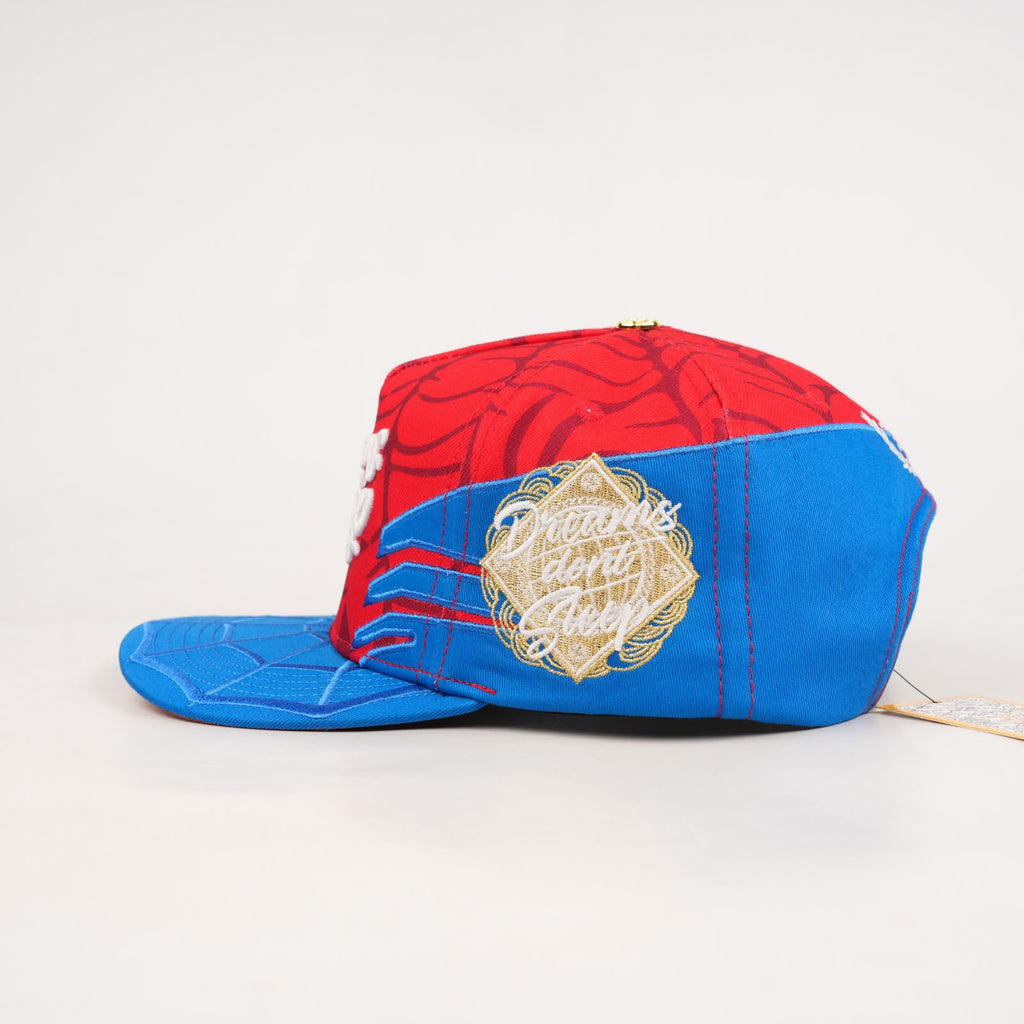 OG DDS: Dreams Don't Sleep Snapback (SPIDEY)