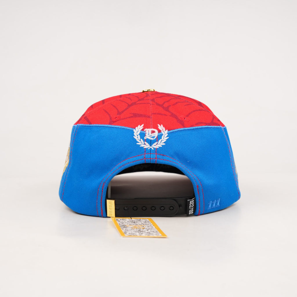 OG DDS: Dreams Don't Sleep Snapback (SPIDEY)